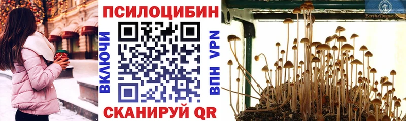 Галлюциногенные грибы мицелий  kraken маркетплейс  Сарапул 